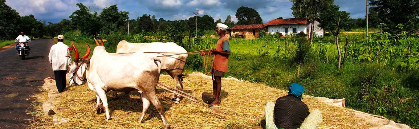 Village Life in Sri Lanka