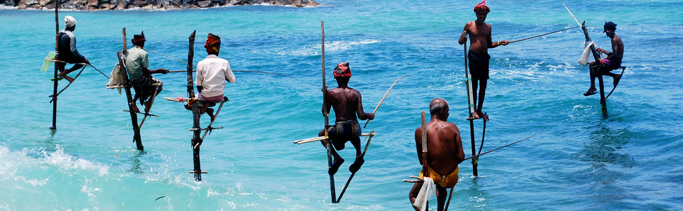 - Still Fishing Sri Lanka -